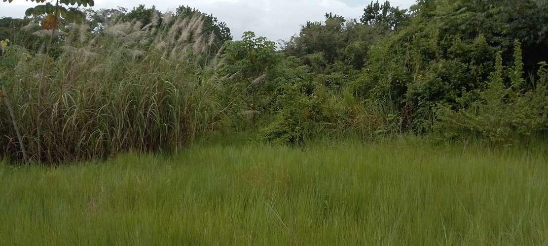 SE VENDE TERRENO 4,000MT2 VÍA RIO CONGO - Imagen 11
