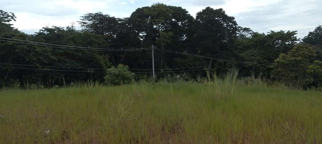 SE VENDE TERRENO 4,000MT2 VÍA RIO CONGO - Imagen 6