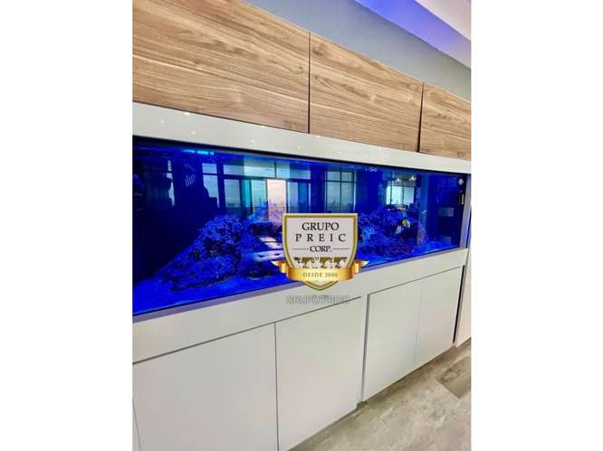 PH ELITE 500 - 262 MTS - 4 HABITACIONES - 580,000$ DL - Imagen 9