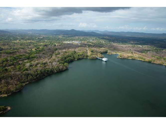 SE VENDE TERRENO LAGO GATUN 1 HECTAREA IDEAL PARA ECO-PROYECTO - Imagen 3