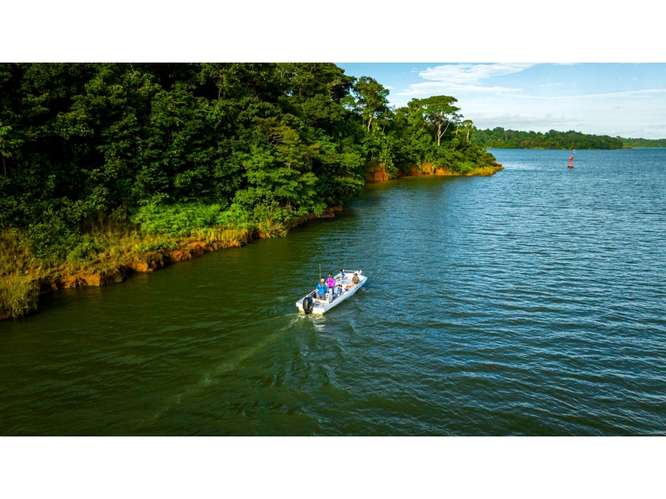 SE VENDE TERRENO LAGO GATUN 1 HECTAREA IDEAL PARA ECO-PROYECTO - Imagen 10