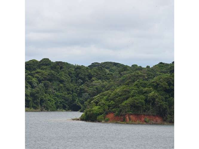 SE VENDE TERRENO LAGO GATUN 1 HECTAREA IDEAL PARA ECO-PROYECTO - Imagen 6
