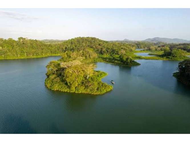 SE VENDE TERRENO LAGO GATUN 1 HECTAREA IDEAL PARA ECO-PROYECTO - Imagen 20