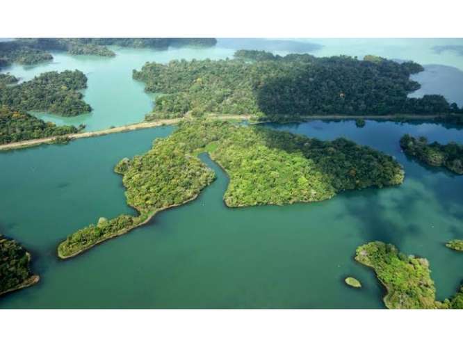 TERRENO / LAGO GATUN / 1HECTAREA / INVERSION / IDEAL PARA ECO-PROYECTO - Imagen 17