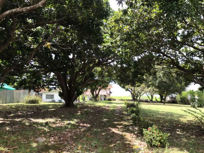Coronado Paseo Las Lajas. 2100mts frente al Mar $1,300,000.00NEG - Imagen 11
