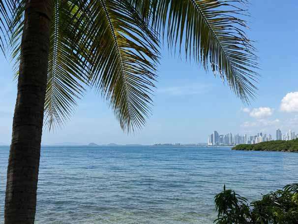 SENSA | COSTA DEL ESTE Desde $360,000 - Imagen 4