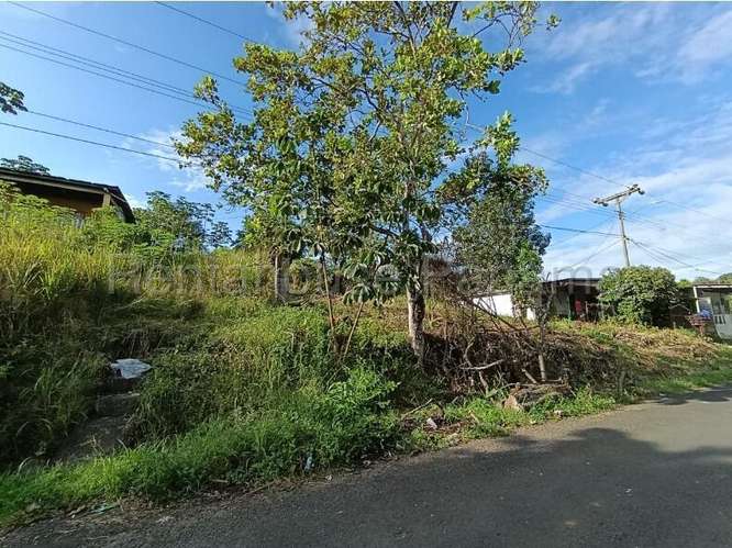 Venta de Terreno en Chorrera ABS - Imagen 7