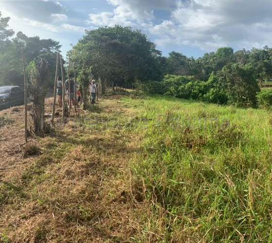 Venta de Terreno en Chorrera ABS - Imagen 3