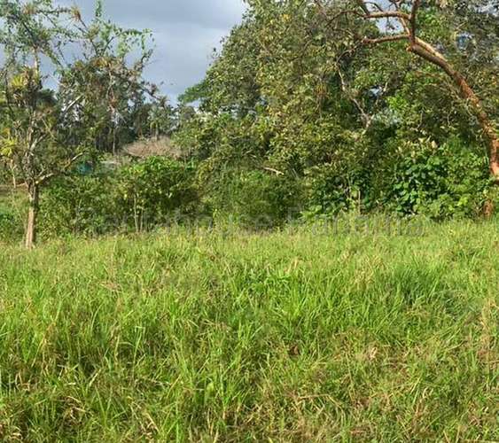 Venta de Terreno en Chorrera ABS - Imagen 8