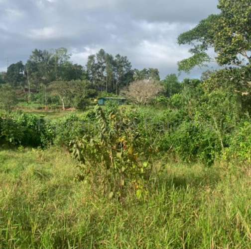 Venta de Terreno en Chorrera ABS - Imagen 4