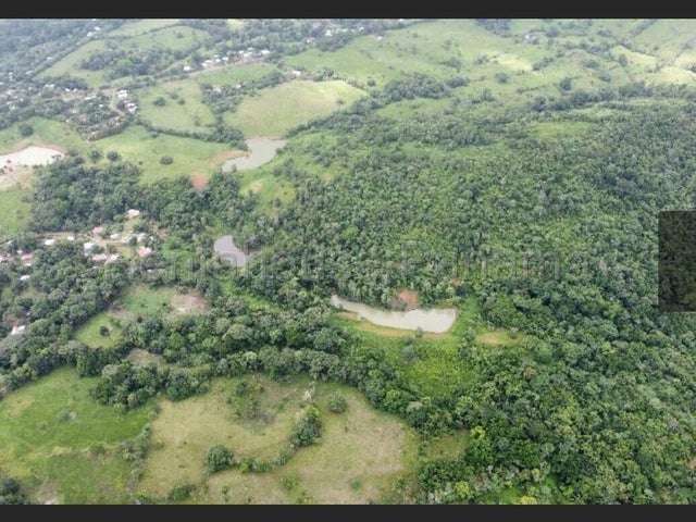 LGU-Venta de Finca en La Chorrera. - Imagen 11