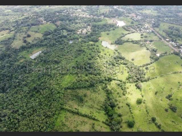 LGU-Venta de Finca en La Chorrera. - Imagen 10