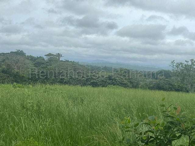 LGU-Venta de Finca en La Chorrera. - Imagen 8