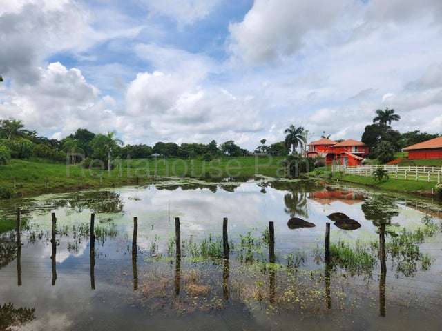 LGU-Venta de Finca en La Chorrera. - Imagen 4