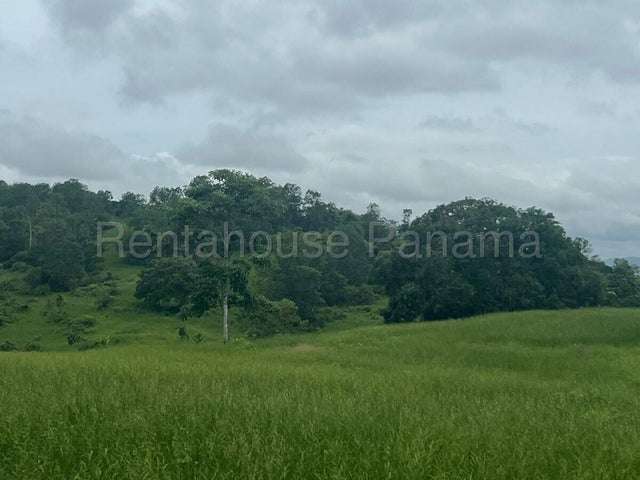 LGU-Venta de Finca en La Chorrera. - Imagen 7