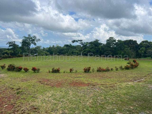 LGU-Venta de Finca en La Chorrera. - Imagen 6
