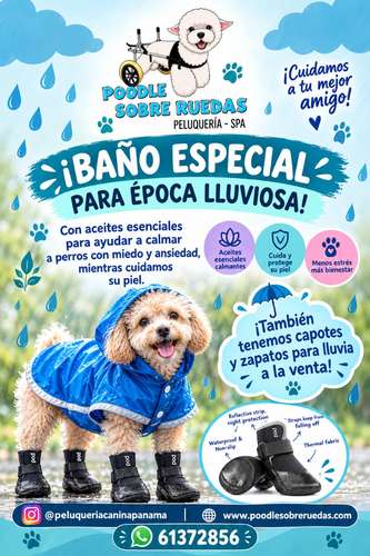 Accesorios y servicios para mascotas en Panamá  - Imagen 4