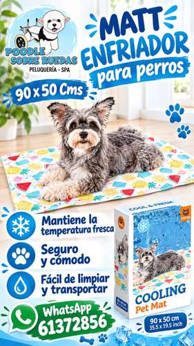 Accesorios y servicios para mascotas en Panamá 