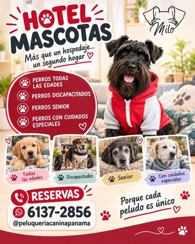Accesorios y servicios para mascotas en Panamá  - Imagen 3