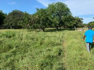 ¡SE VENDE TERRENO TITULADO DE 1.5 HECTÁREAS EN SANTA ANA, LOS SANTOS!