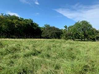 ¡SE VENDE TERRENO TITULADO DE 1.5 HECTÁREAS EN SANTA ANA, LOS SANTOS!