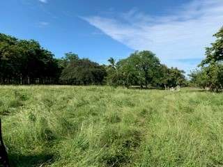 ¡SE VENDE TERRENO TITULADO DE 1.5 HECTÁREAS EN SANTA ANA, LOS SANTOS!