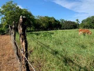 ¡SE VENDE TERRENO TITULADO DE 1.5 HECTÁREAS EN SANTA ANA, LOS SANTOS!