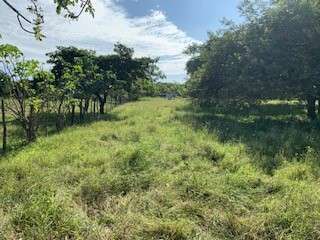 ¡SE VENDE TERRENO TITULADO DE 1.5 HECTÁREAS EN SANTA ANA, LOS SANTOS!