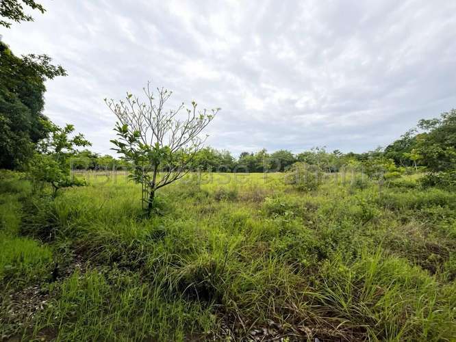 Venta de Terreno en Cocle DDB27-1339 - Imagen 6