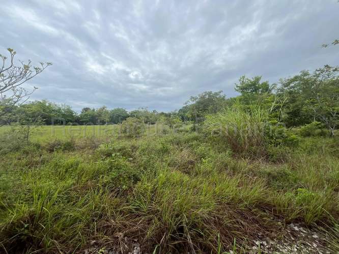 Venta de Terreno en Cocle DDB27-1339 - Imagen 15