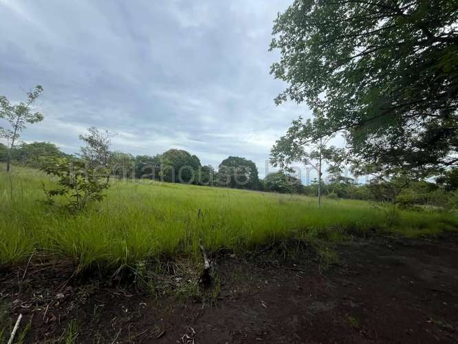 Venta de Terreno en Cocle DDB27-1339 - Imagen 10