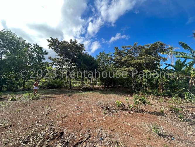 Venta de Terreno en El Espino – sin direccion