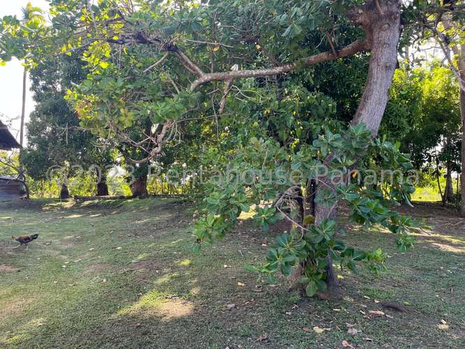 Venta de Terreno en El Espino – sin direccion - Imagen 18
