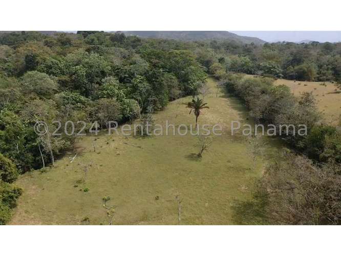 Venta de Terreno en Chorrera – Terreno - Imagen 3
