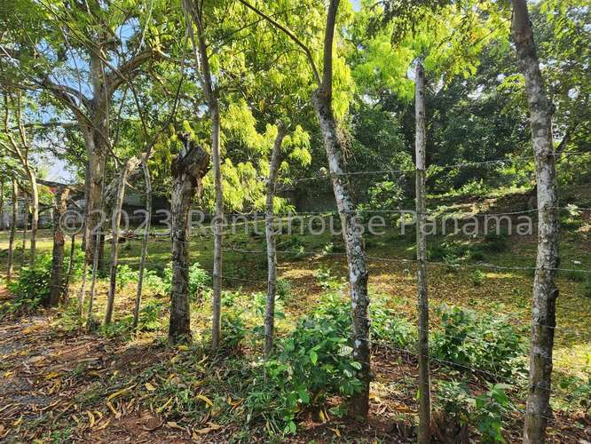 Venta de Terreno en Chorrera – Terreno - Imagen 15