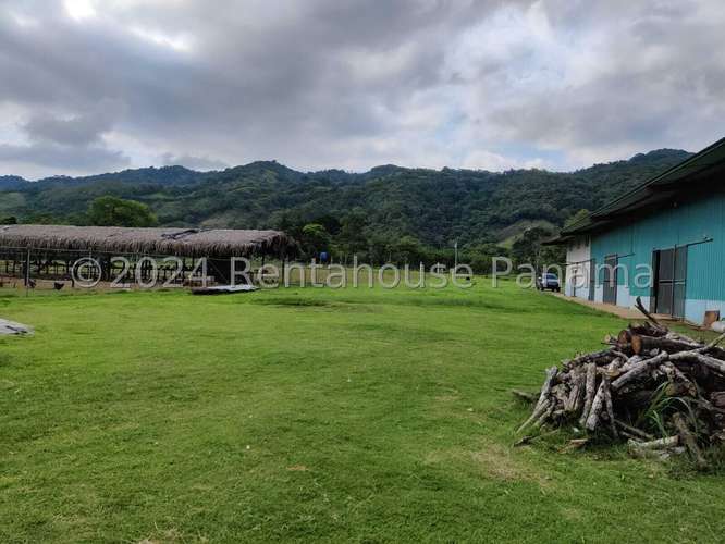 Venta de Terreno en Colon – Finca terreno - Imagen 10