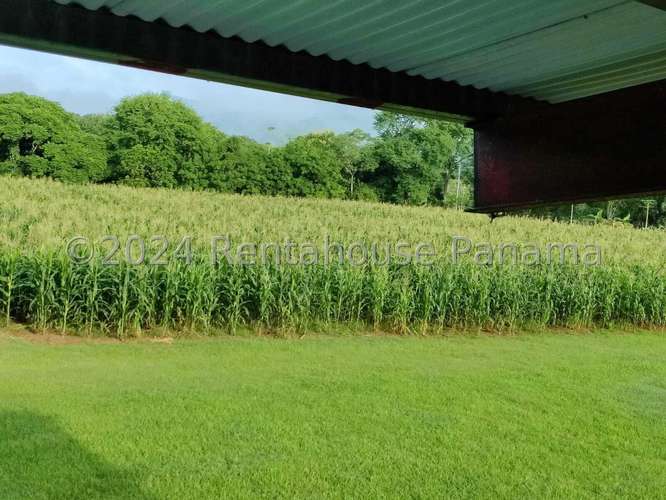 Venta de Terreno en Colon – Finca terreno - Imagen 6