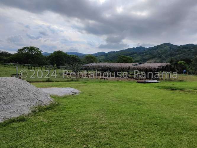 Venta de Terreno en Colon – Finca terreno - Imagen 8