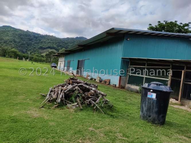 Venta de Terreno en Colon – Finca terreno - Imagen 5