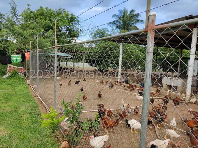Venta de Terreno en Colon – Finca terreno - Imagen 2