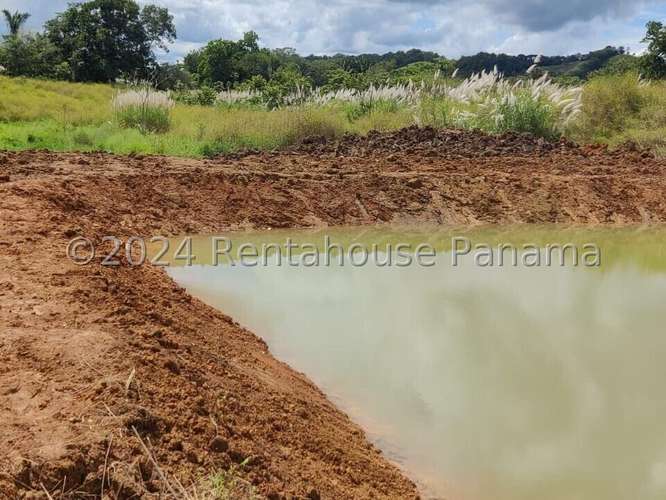 Venta de Terreno en Colon – Finca terreno - Imagen 4