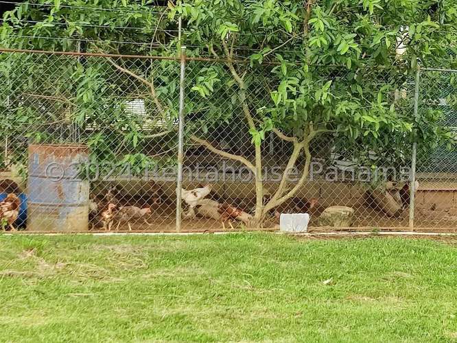 Venta de Terreno en Colon – Finca terreno - Imagen 9