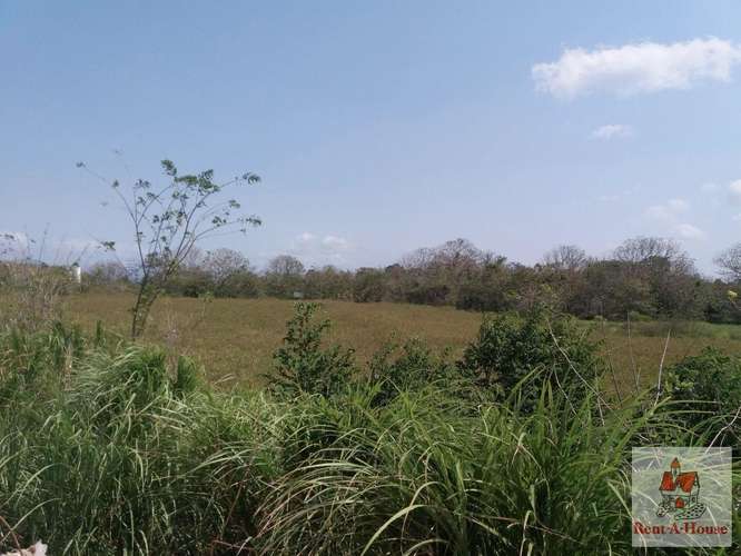 Venta de Terreno en Paso Blanco – sin direccion - Imagen 19