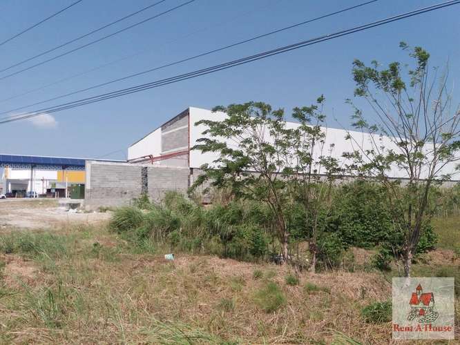 Venta de Terreno en Paso Blanco – sin direccion - Imagen 9