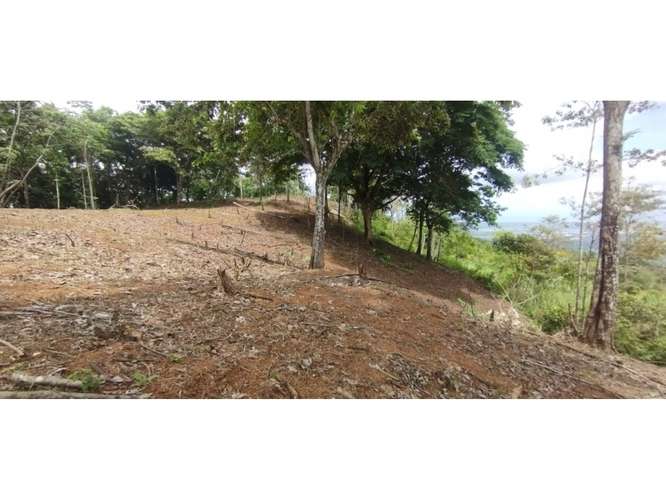 SE VENDE TERRENO EN CERRO AZUL 7 HECTAREAS CON VISTA A LA CIUDAD - Imagen 20