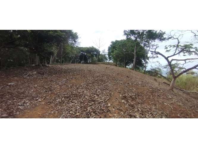 SE VENDE TERRENO EN CERRO AZUL 7 HECTAREAS CON VISTA A LA CIUDAD - Imagen 7