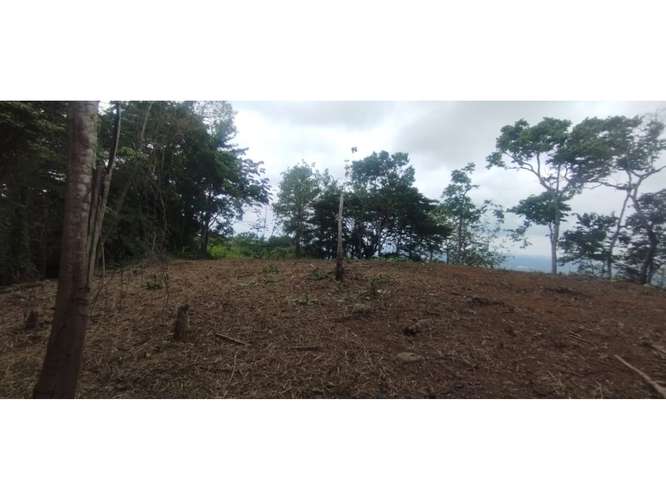 SE VENDE TERRENO EN CERRO AZUL 7 HECTAREAS CON VISTA A LA CIUDAD - Imagen 5