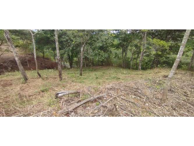 SE VENDE TERRENO EN CERRO AZUL 7 HECTAREAS CON VISTA A LA CIUDAD - Imagen 12