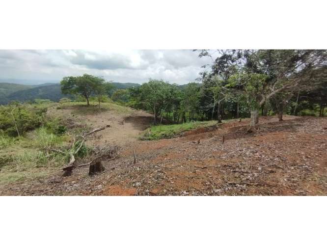 CERRO AZUL / TERRENO / 7 HECTAREAS / VISTA A LA CIUDAD Y MAR - Imagen 14