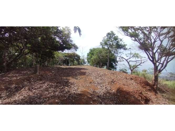 CERRO AZUL / TERRENO / 7 HECTAREAS / VISTA A LA CIUDAD Y MAR - Imagen 2